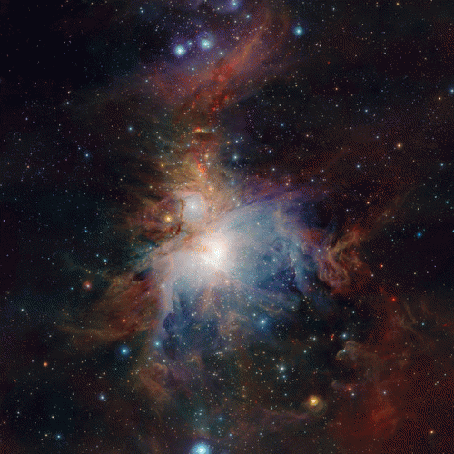 Black Howling : O Sangue e a Terra